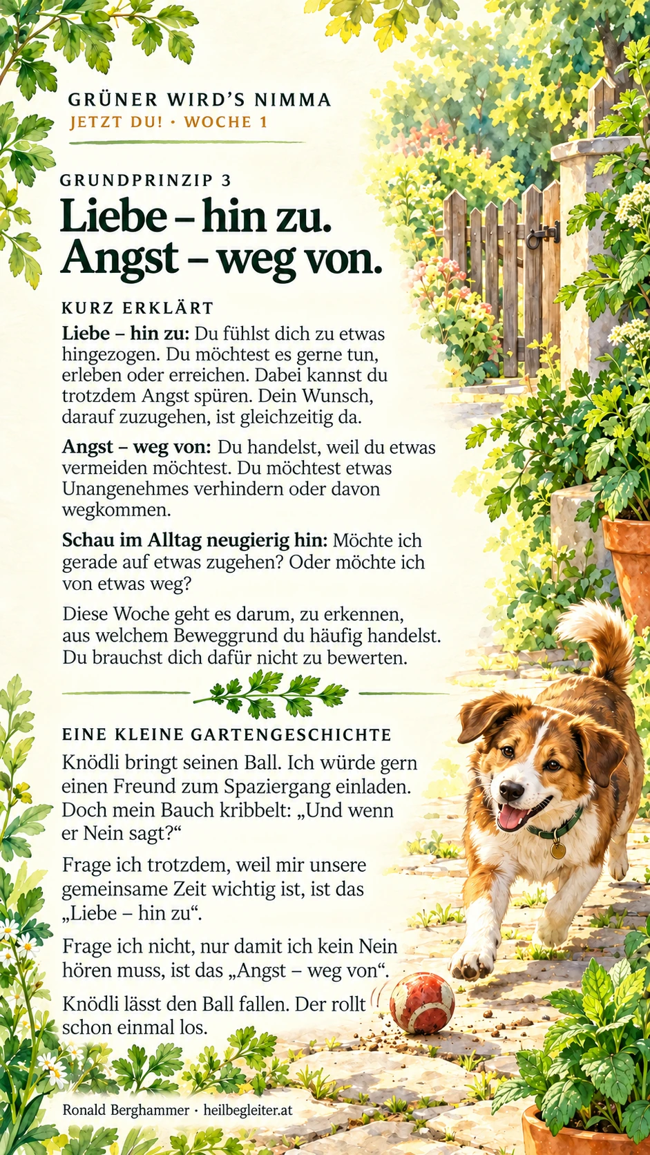 Jetzt du! Woche 1, Bild 3: Was trägst du in dir?
