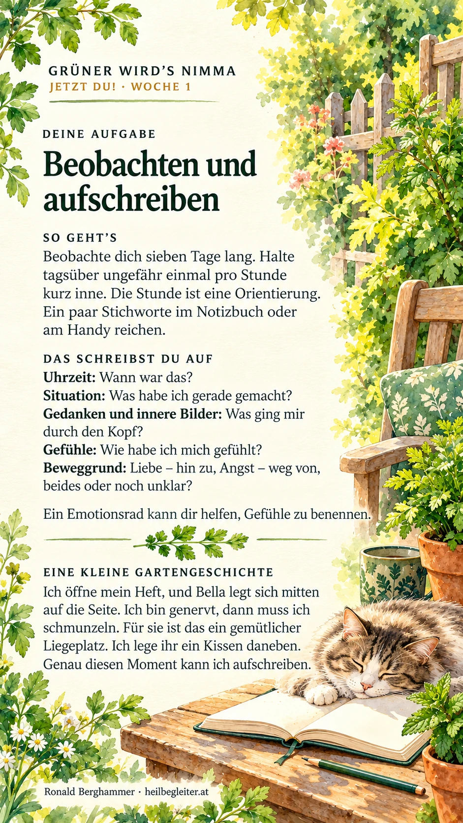 Jetzt du! Woche 1, Bild 4: Was trägst du in dir?