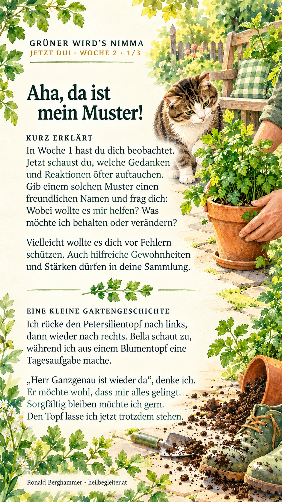 Jetzt du! Woche 2: Ich bin