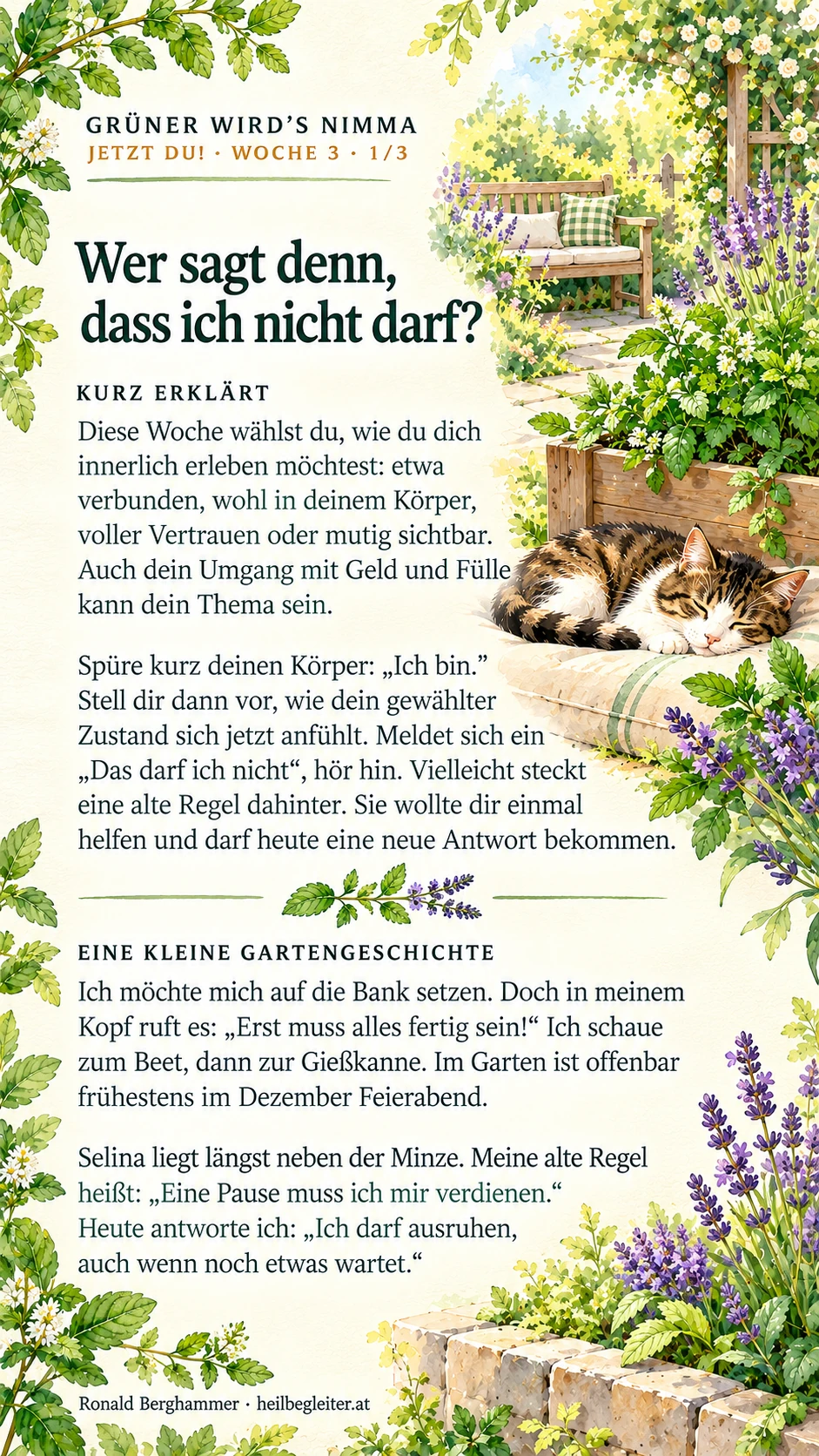 Jetzt du! Woche 3: Ich darf