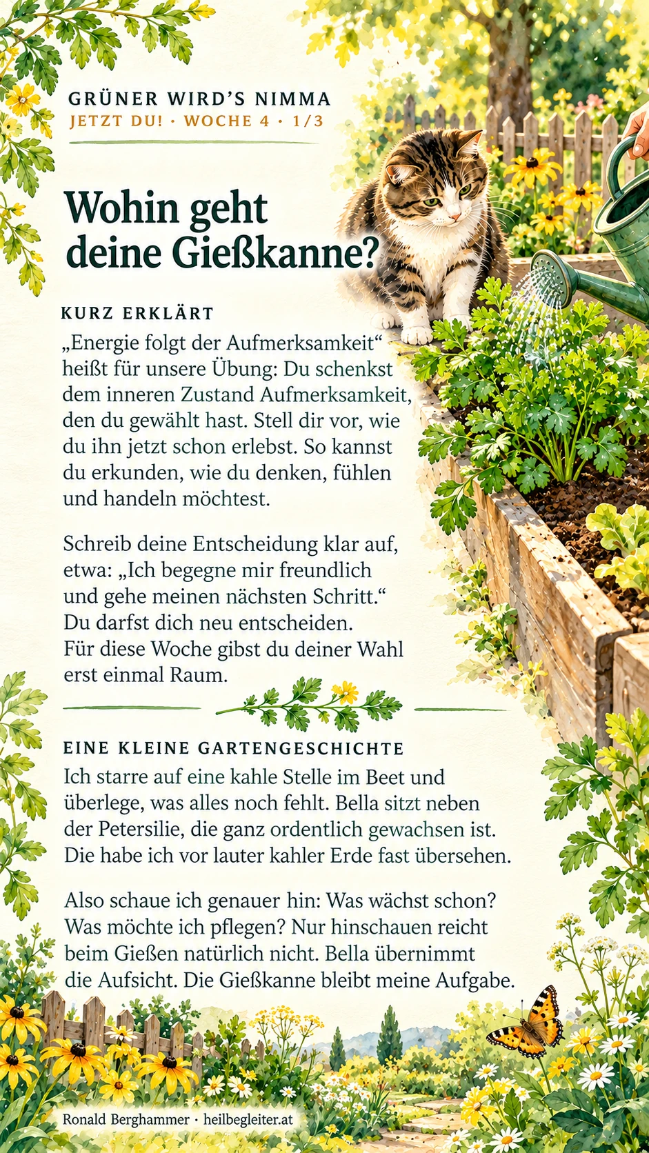 Jetzt du! Woche 4: Was du gießt