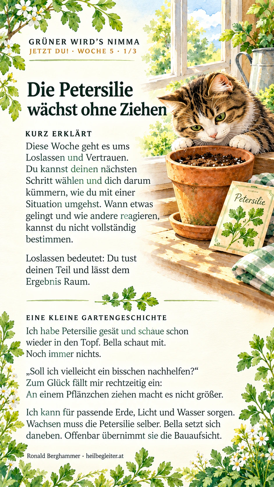 Jetzt du! Woche 5: Loslassen und Vertrauen